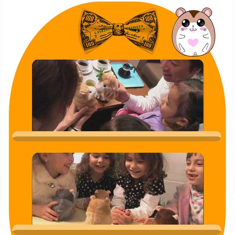 Talking Hamster Toy For Kids